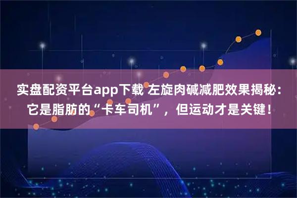 实盘配资平台app下载 左旋肉碱减肥效果揭秘：它是脂肪的“卡车司机”，但运动才是关键！