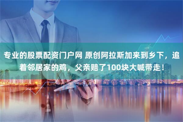 专业的股票配资门户网 原创阿拉斯加来到乡下，追着邻居家的鸡，父亲赔了100块大喊带走！