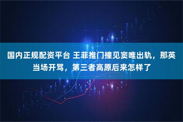 国内正规配资平台 王菲推门撞见窦唯出轨，那英当场开骂，第三者高原后来怎样了