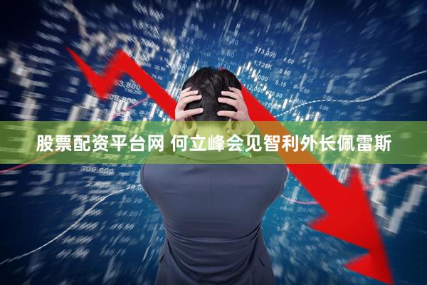 股票配资平台网 何立峰会见智利外长佩雷斯
